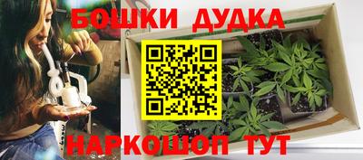 индика Братск