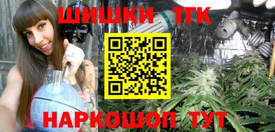индика Братск