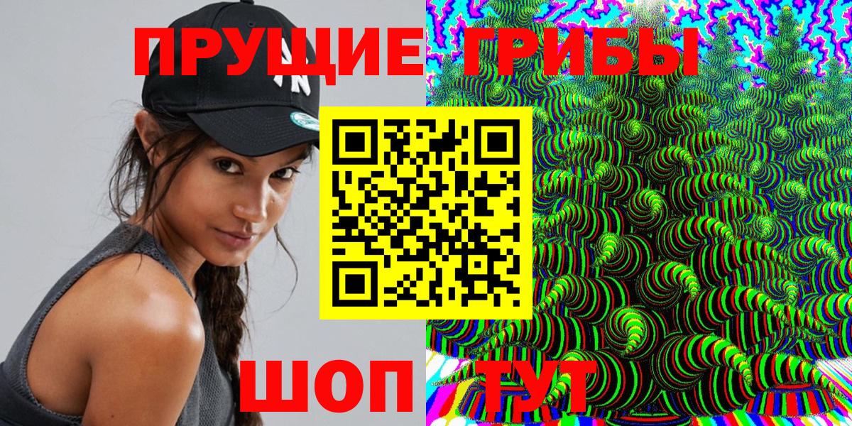 Псилоцибиновые грибы Psilocybe  наркотики  Богданович  Вход с VPN 