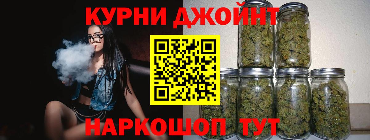 Богданович  МАРИХУАНА Ganja  Вход с VPN  Конопля сатива  Конопля тримм 